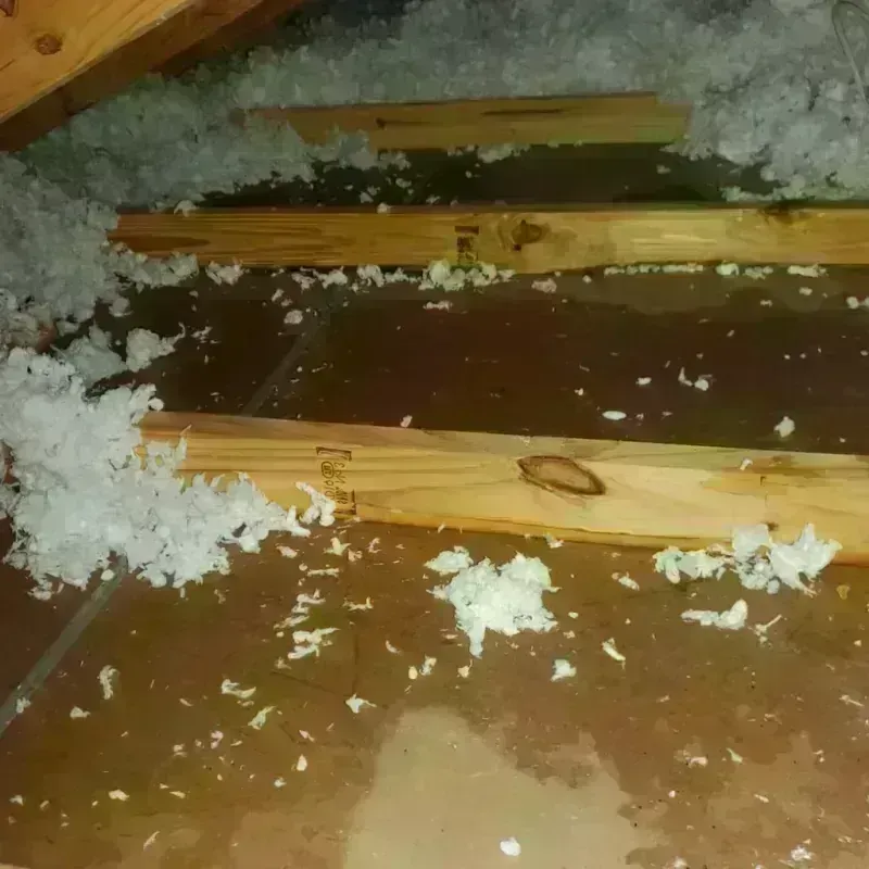 Attic Water Damage in Ridgetop, TN