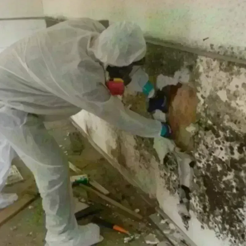 Mold Remediation and Removal in Ridgetop, TN